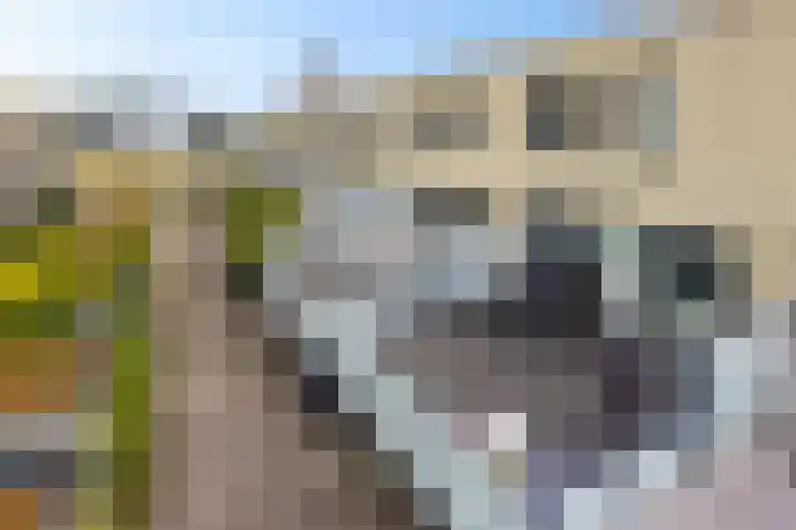 Tonkensstraat 17 Groningen thumbnail 4
