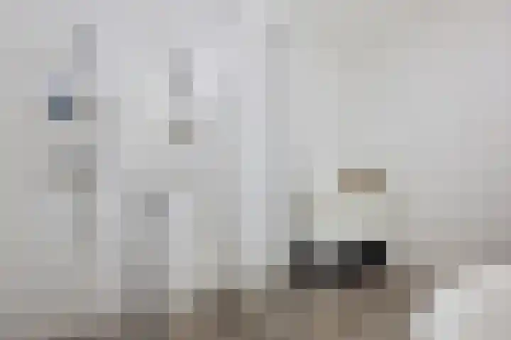 Tonkensstraat 17 Groningen thumbnail 5
