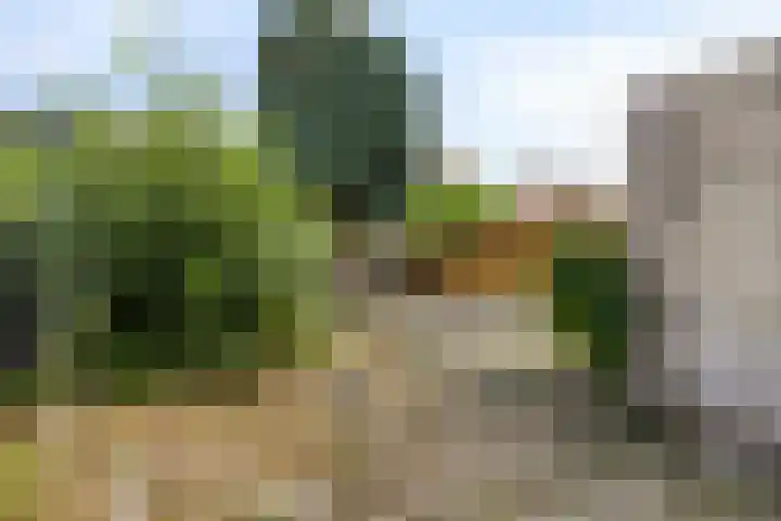 Tonkensven 52 Roden thumbnail 10