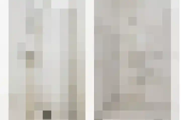 Tonkensven 52 Roden thumbnail 14