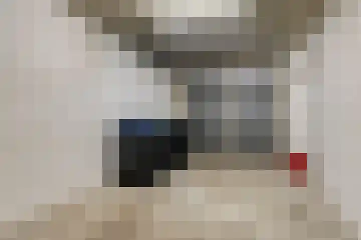 Tonkensven 52 Roden thumbnail 17