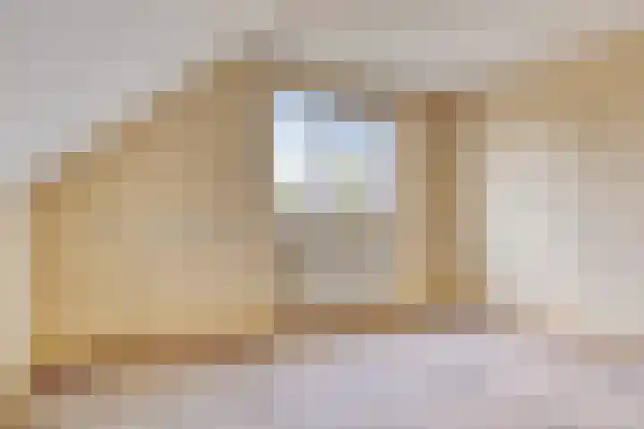 Tonkensven 52 Roden thumbnail 19