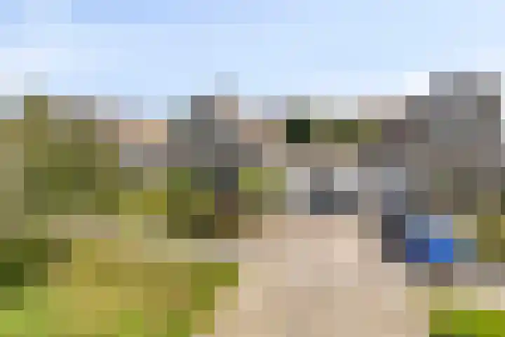 Tonkensven 52 Roden thumbnail 23
