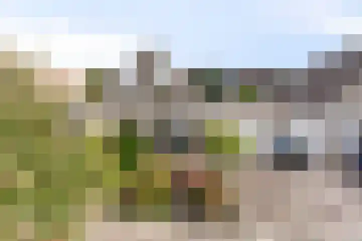 Tonkensven 52 Roden thumbnail 24