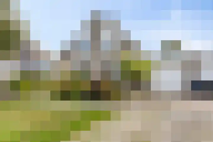Tonkensven 52 Roden thumbnail 27