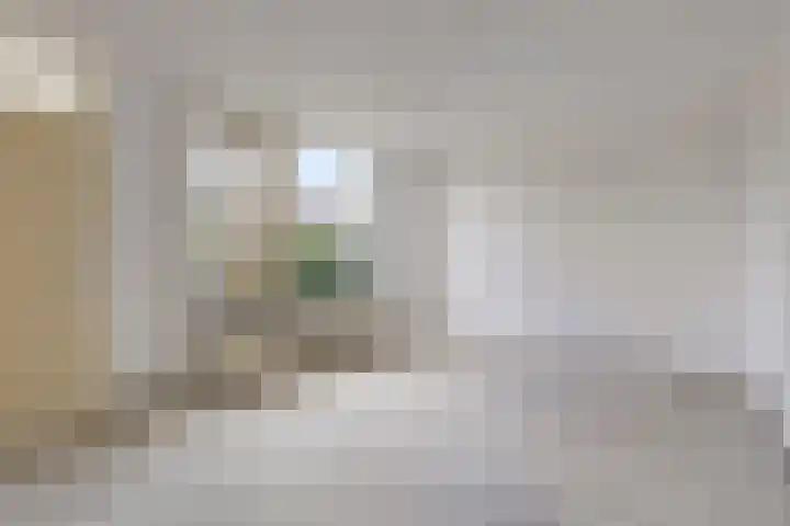 Tonkensven 52 Roden thumbnail 4