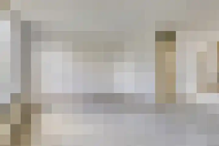 Tonkensven 52 Roden thumbnail 5