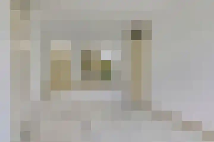 Tonkensven 52 Roden thumbnail 6