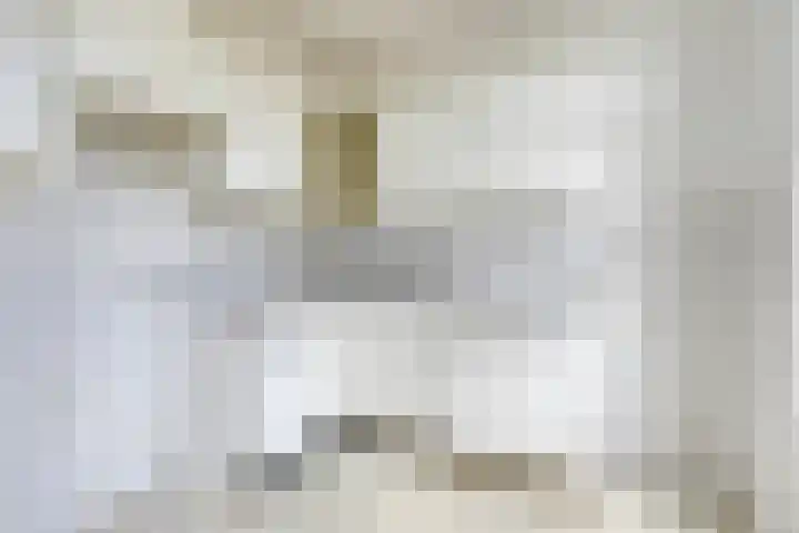 Tonkensven 52 Roden thumbnail 7