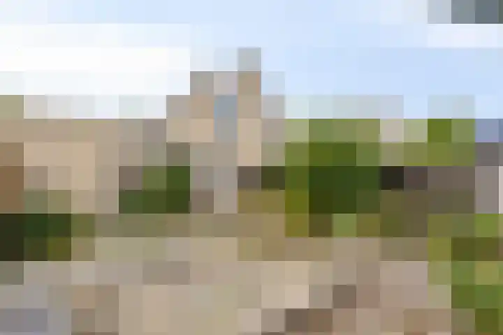 Tonkensven 52 Roden thumbnail 8