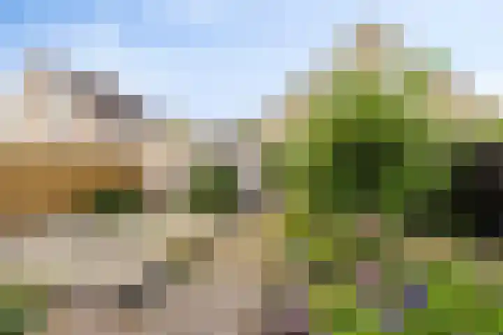 Tonkensven 52 Roden thumbnail 9
