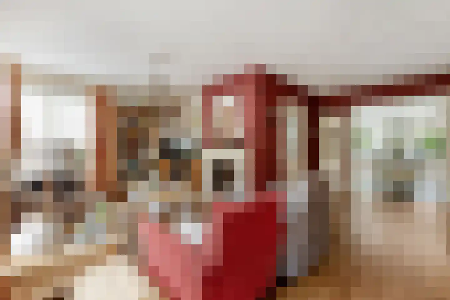 Tonnekeshei 19 Veldhoven thumbnail 13