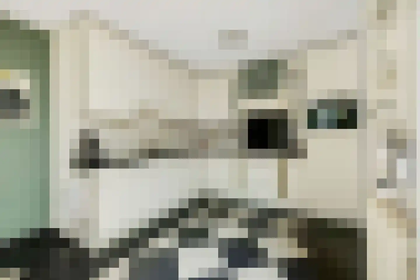 Tonnekeshei 19 Veldhoven thumbnail 17