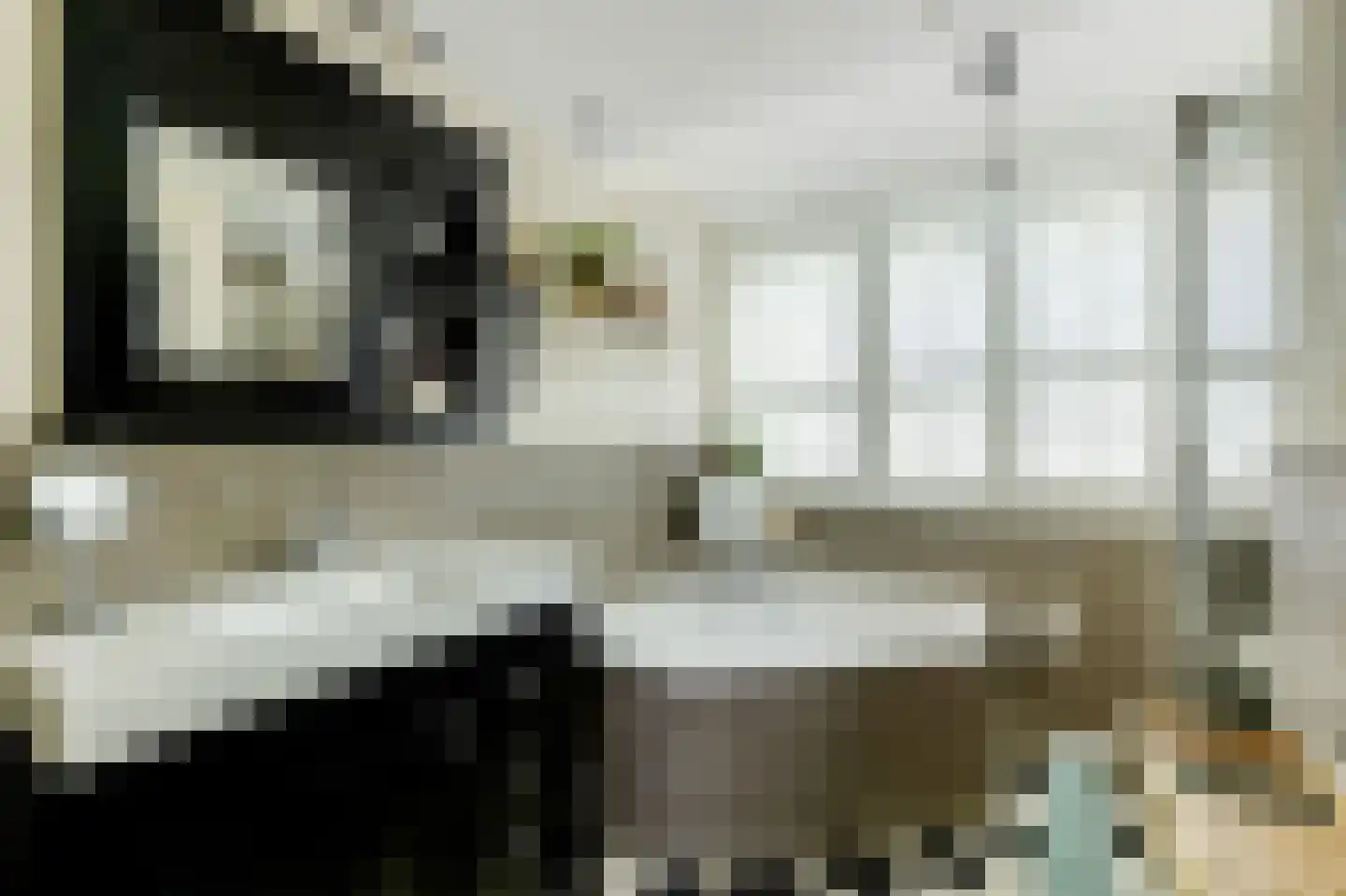 Tonnekeshei 19 Veldhoven thumbnail 27