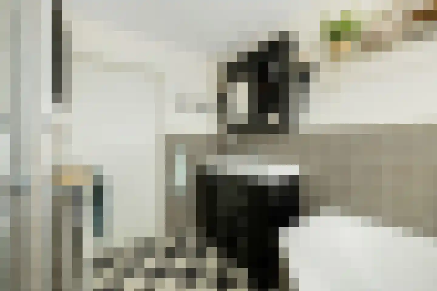 Tonnekeshei 19 Veldhoven thumbnail 28