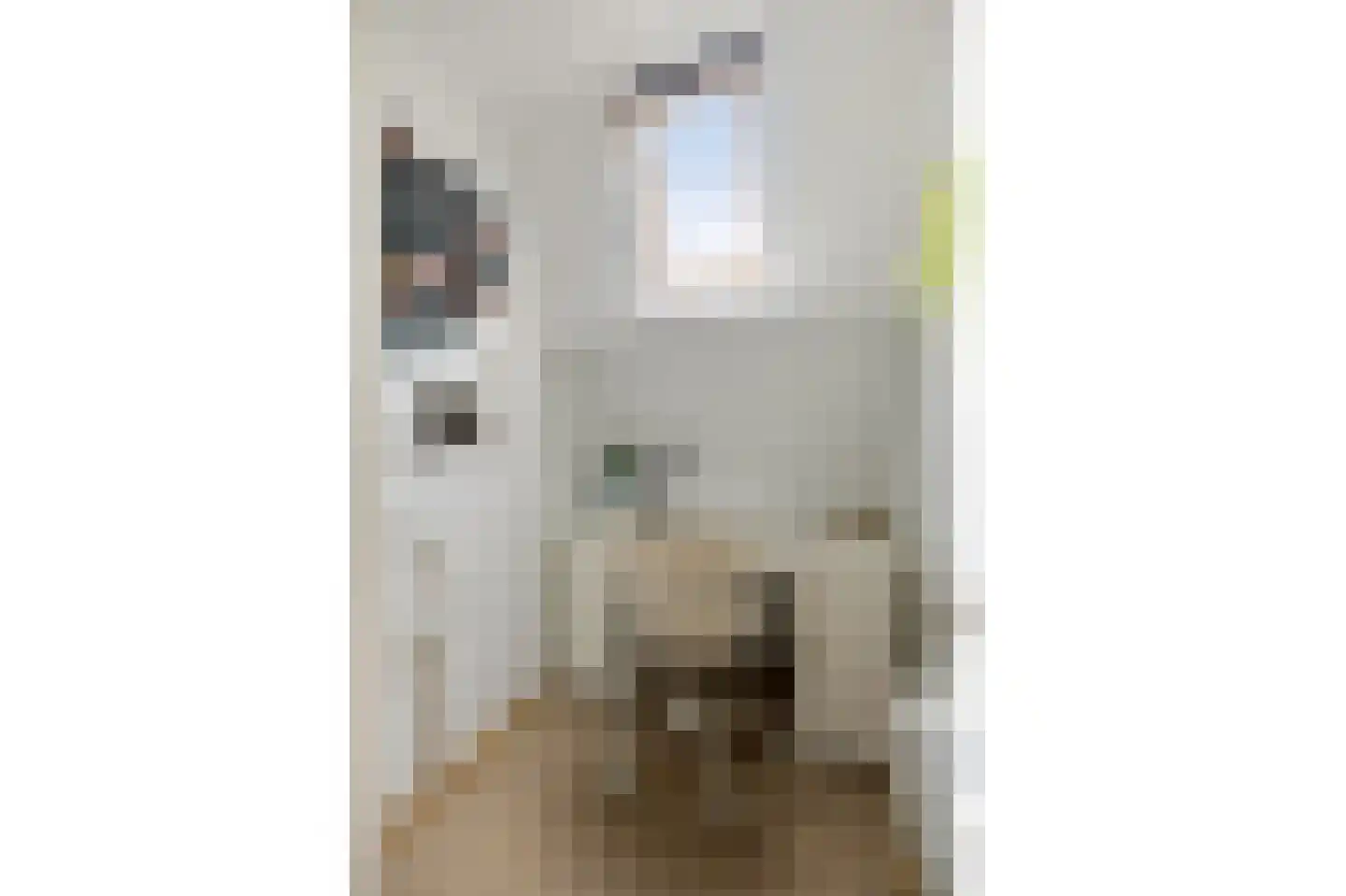 Tonnekeshei 19 Veldhoven thumbnail 34