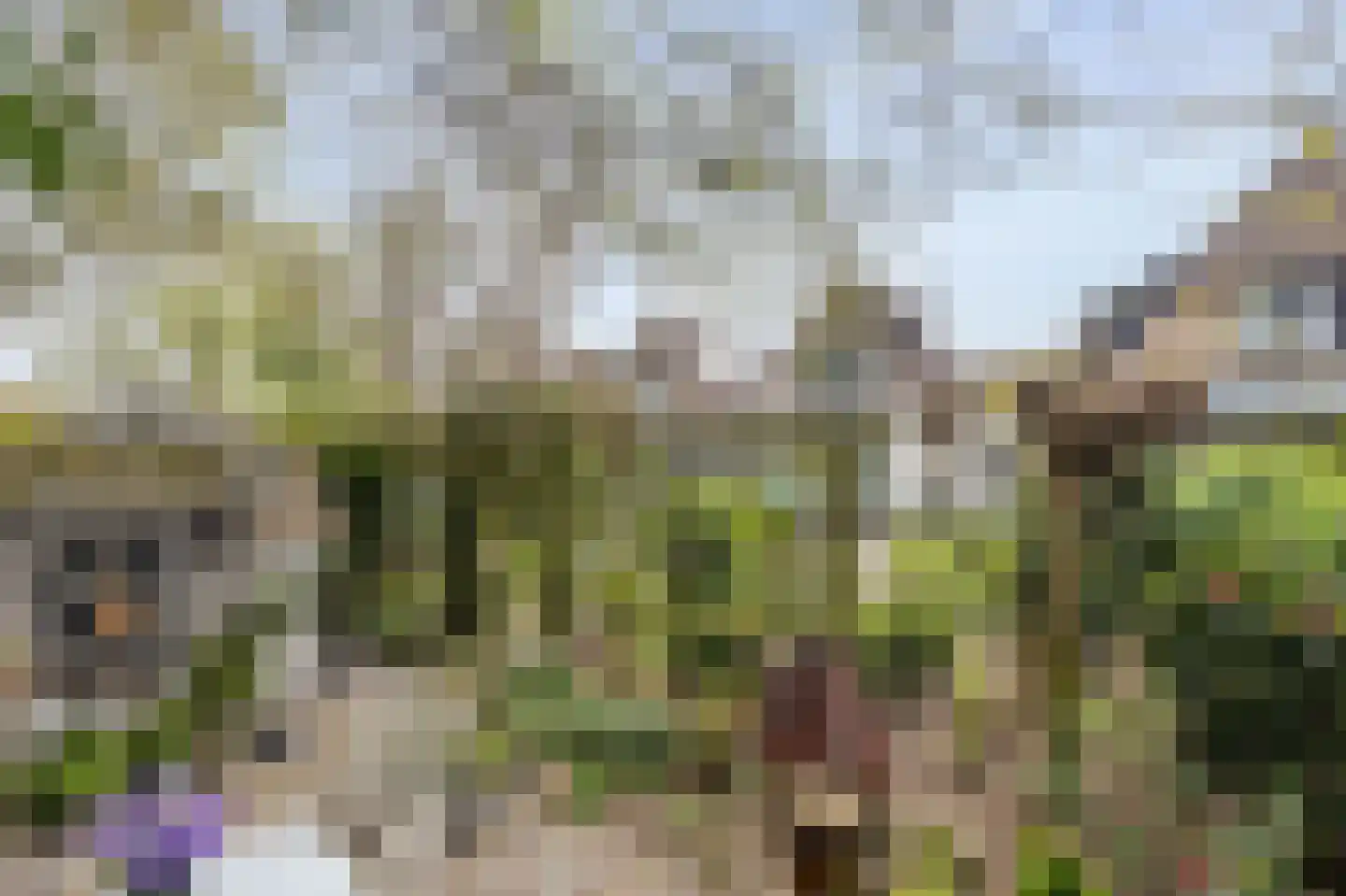 Tonnekeshei 19 Veldhoven thumbnail 41