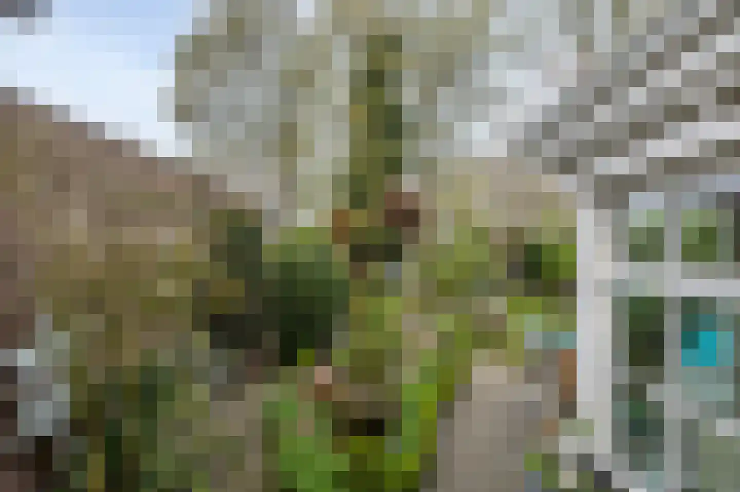 Tonnekeshei 19 Veldhoven thumbnail 42