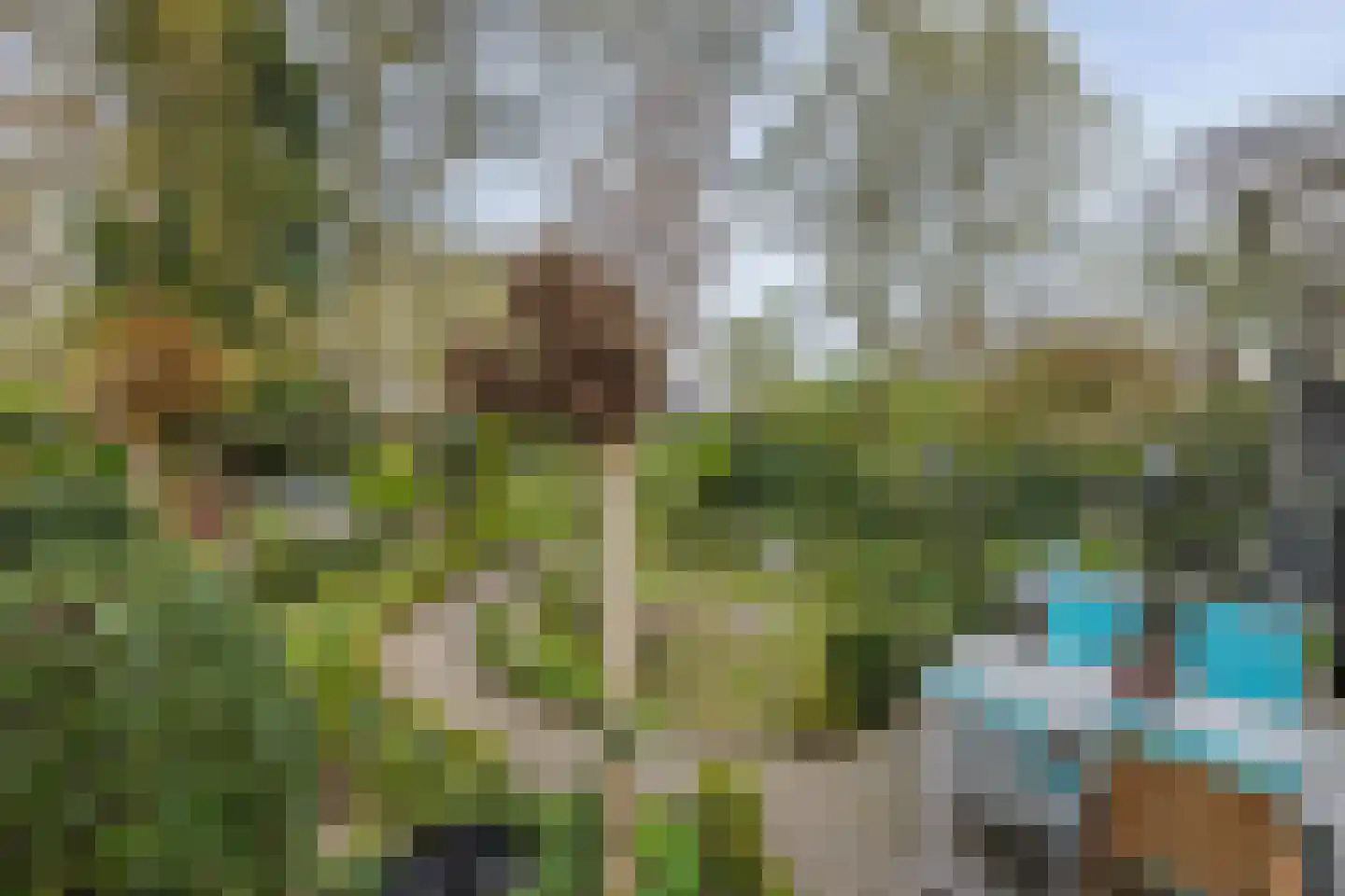Tonnekeshei 19 Veldhoven thumbnail 43
