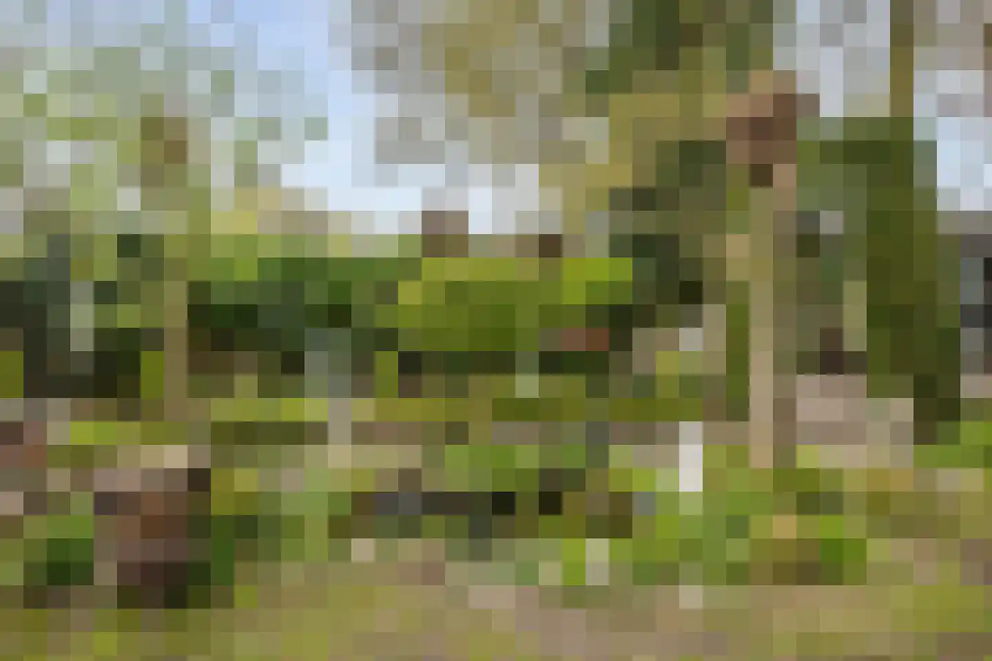 Tonnekeshei 19 Veldhoven thumbnail 45