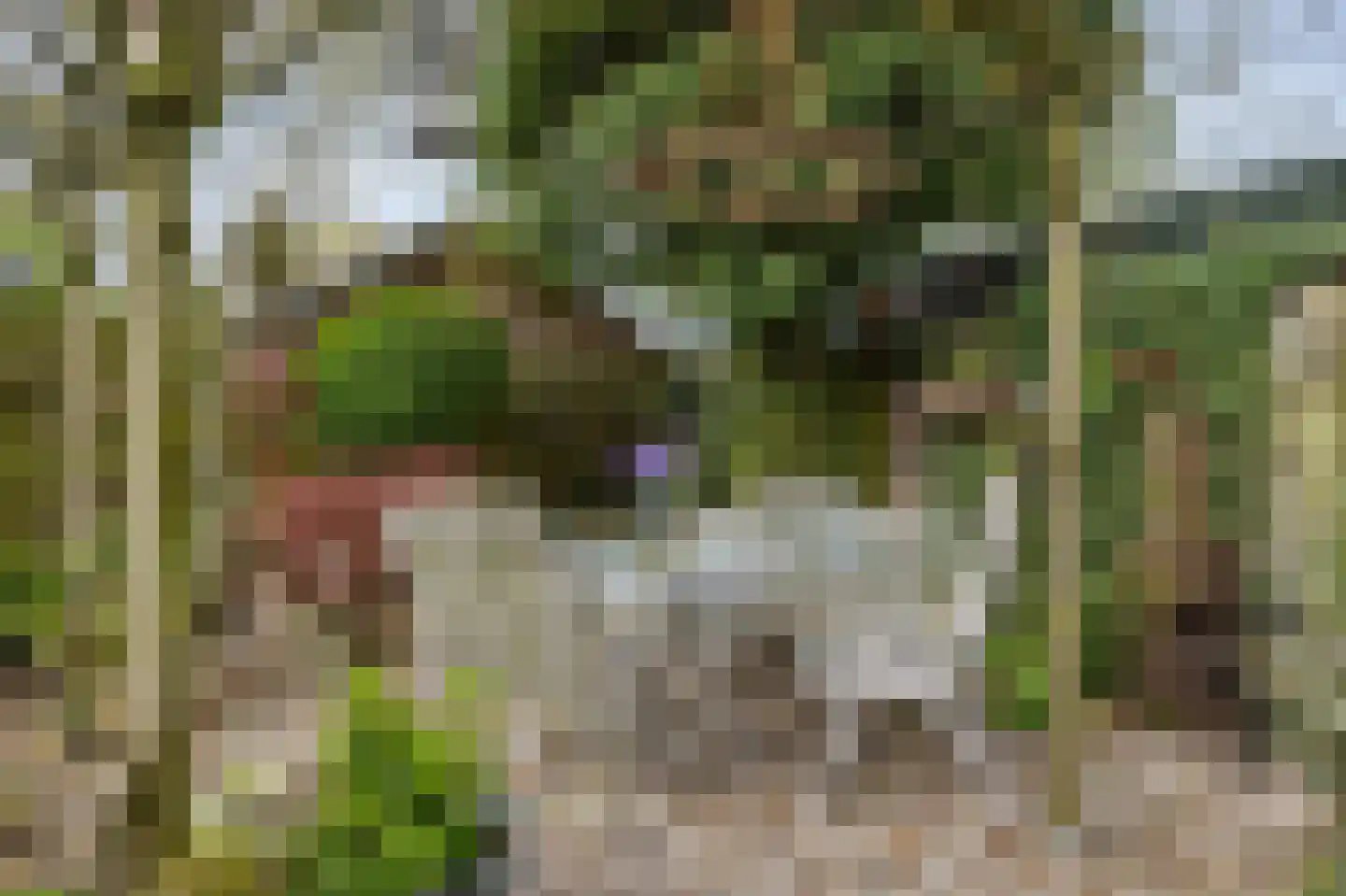 Tonnekeshei 19 Veldhoven thumbnail 46