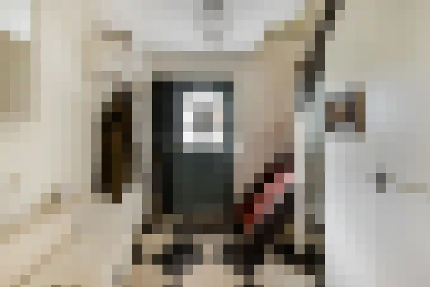 Tonnekeshei 19 Veldhoven thumbnail 6
