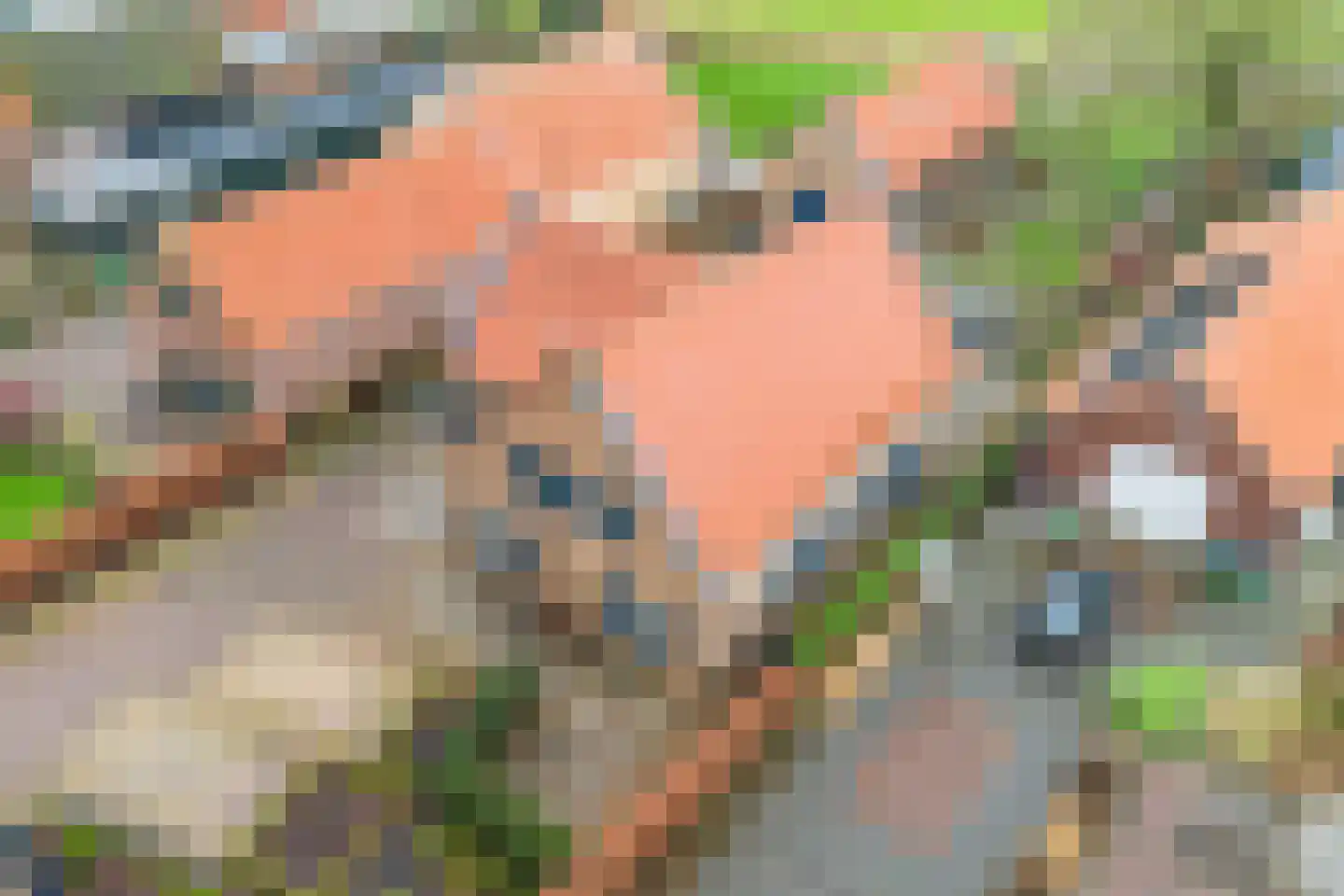 Tonnekreek 13 Klundert thumbnail 73