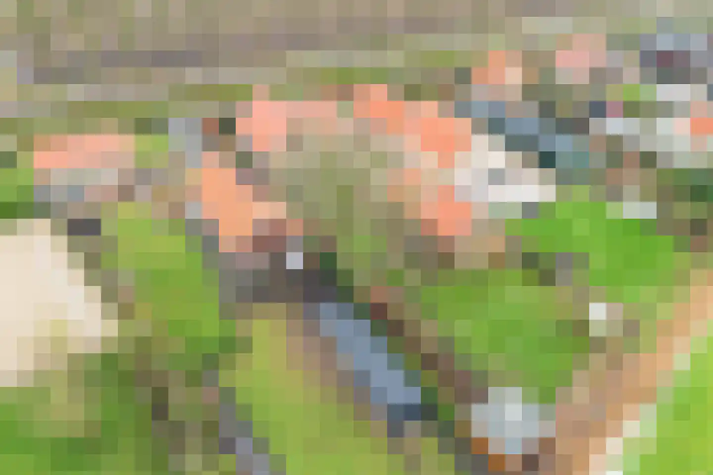 Tonnekreek 13 Klundert thumbnail 76