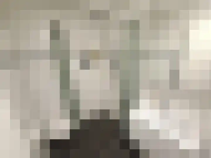 Tonnekreek 92 Rotterdam thumbnail 10