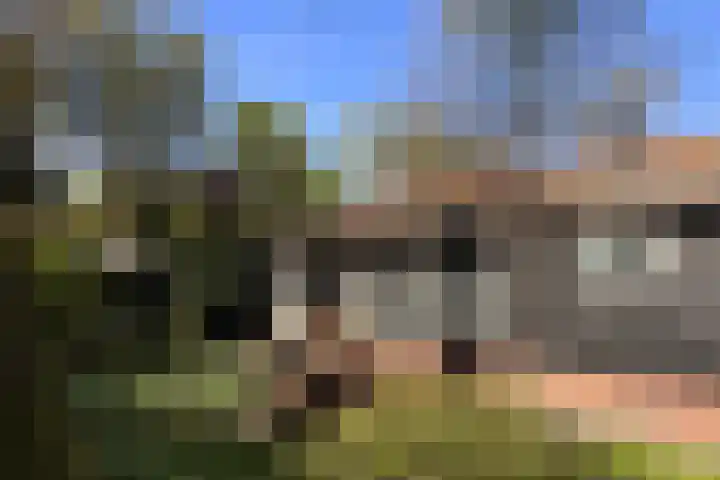 Tonnenberg 53 C 14 Ermelo thumbnail 17