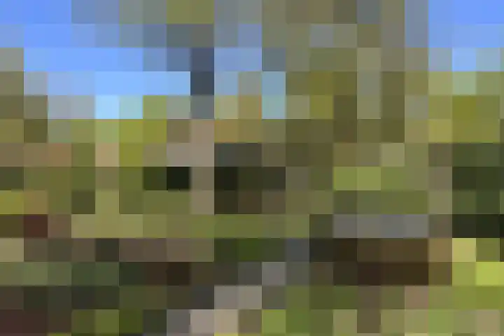 Tonnenberg 53 C 14 Ermelo thumbnail 20