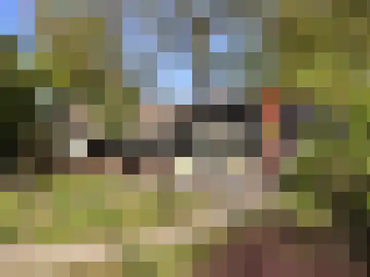 Tonnenberg 53 C 14 Ermelo thumbnail 22