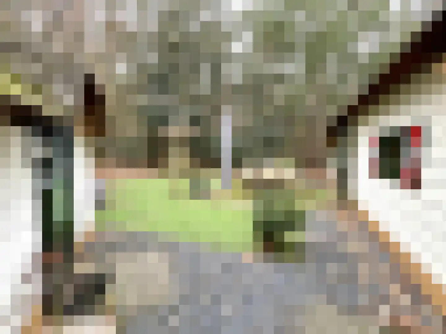 Tonnenberg 53 K 12 Ermelo thumbnail 14