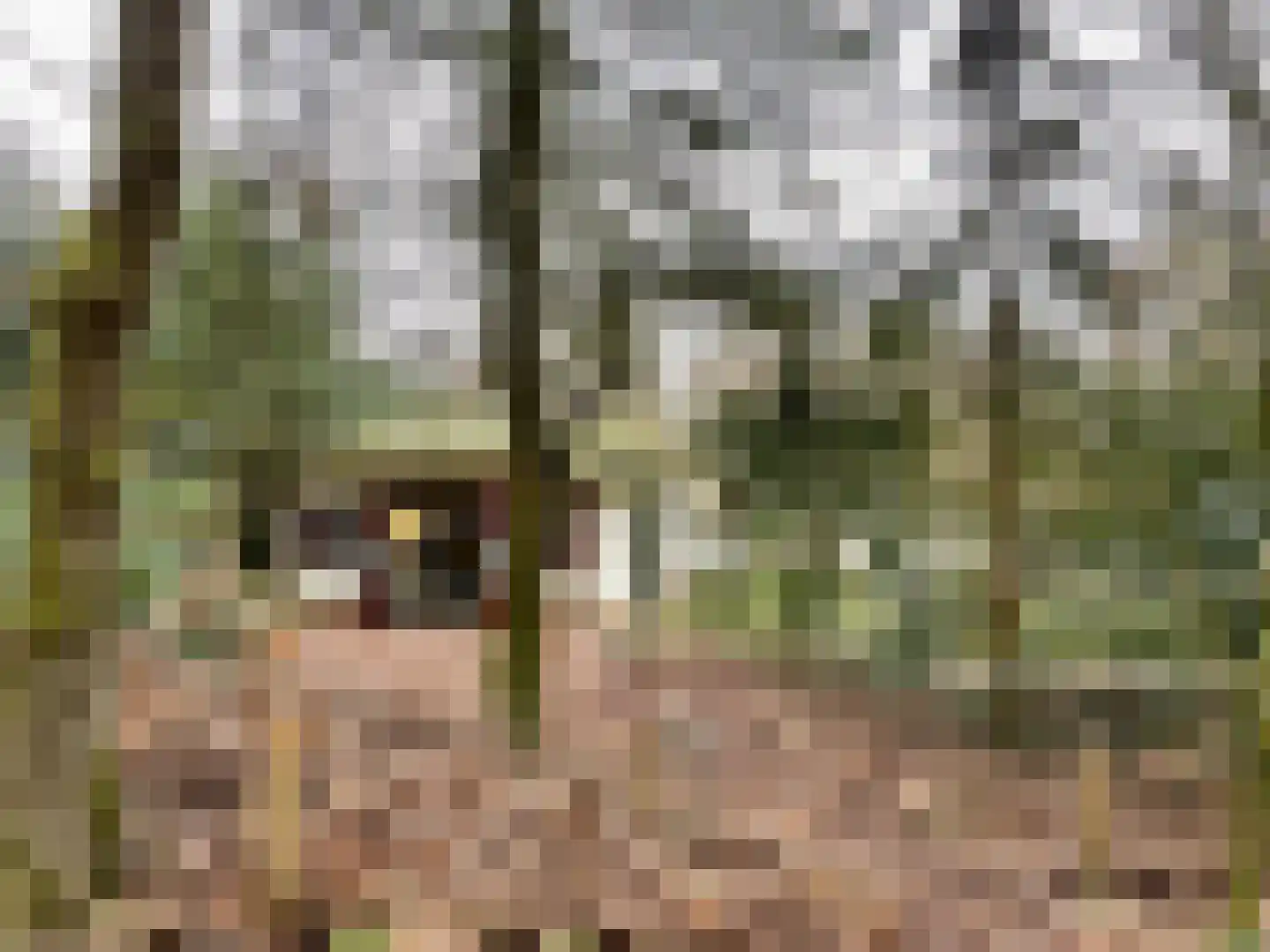 Tonnenberg 53 K 12 Ermelo thumbnail 19