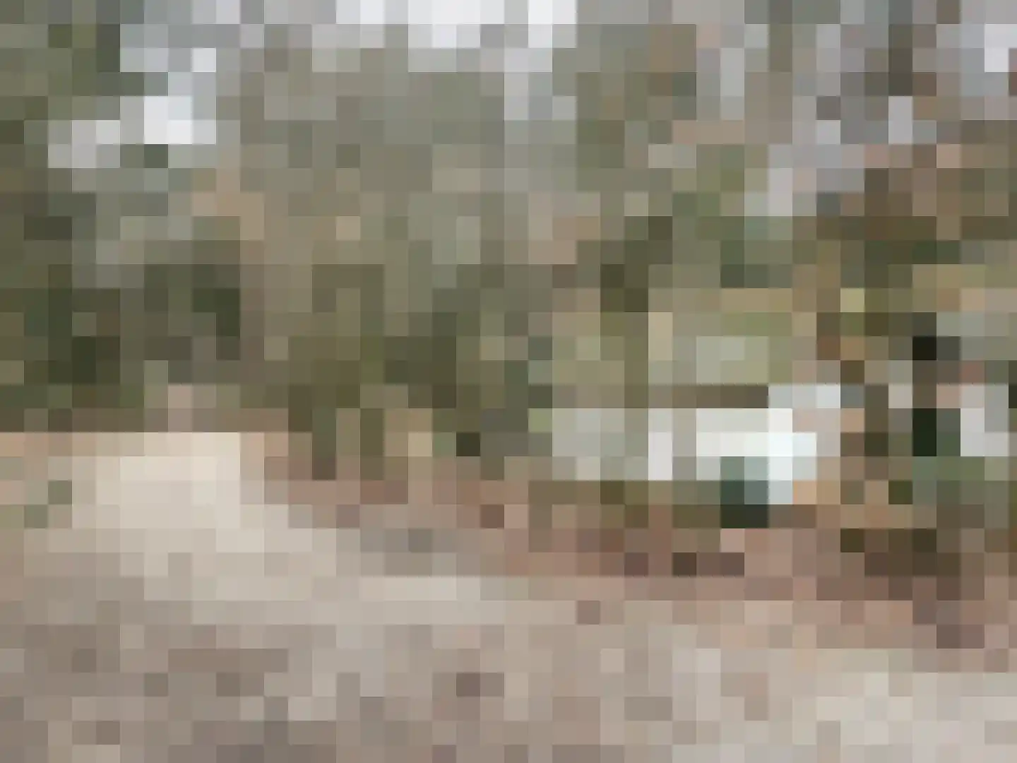 Tonnenberg 53 K 12 Ermelo thumbnail 20