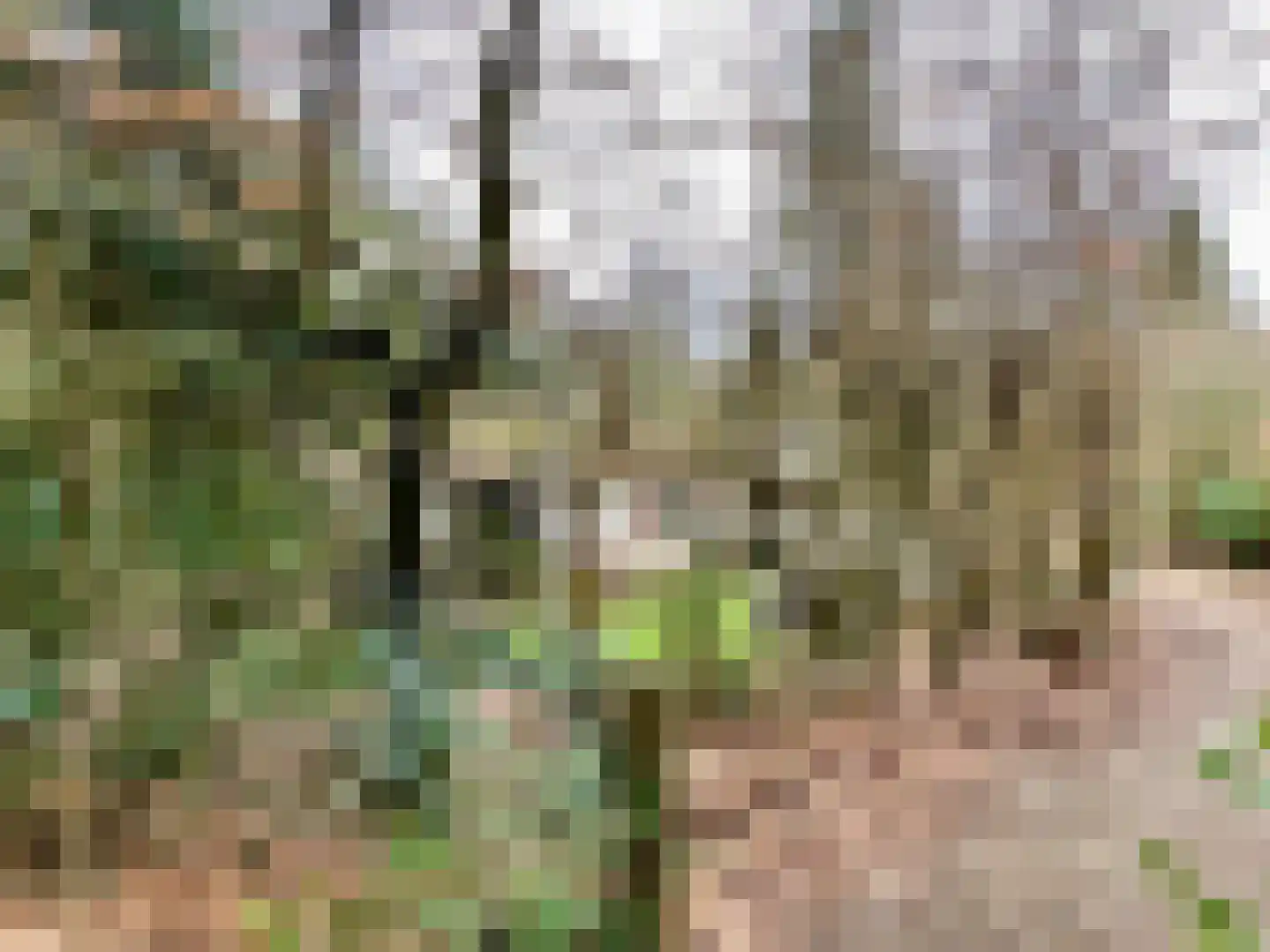 Tonnenberg 53 K 12 Ermelo thumbnail 22