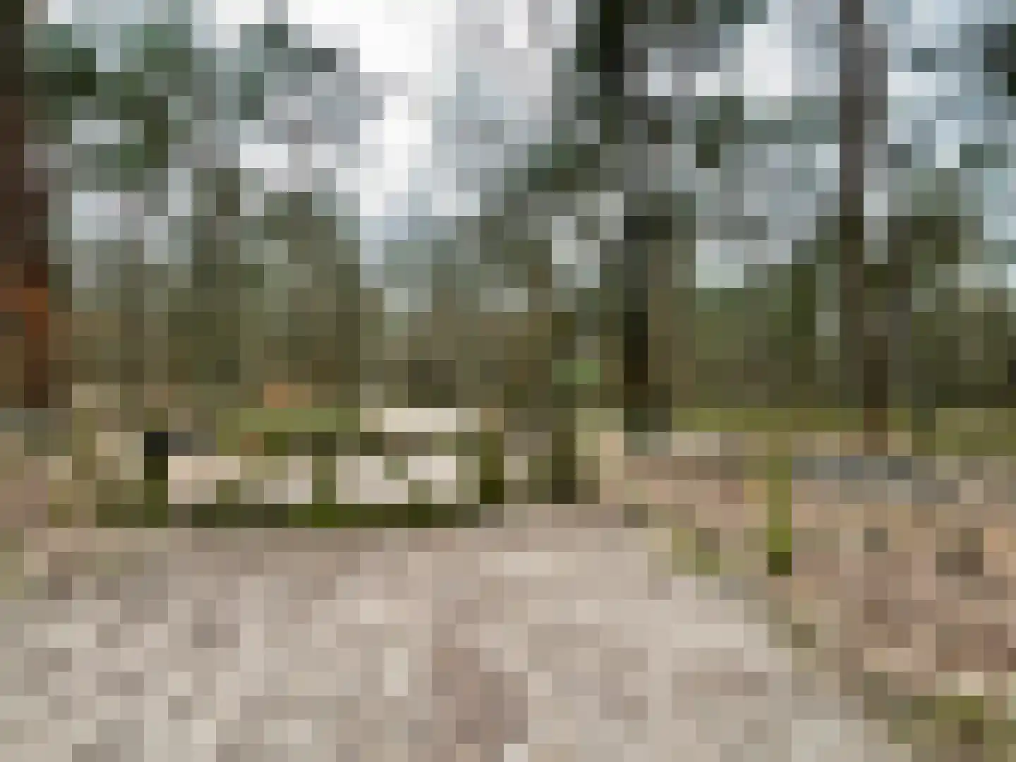 Tonnenberg 53 K 12 Ermelo thumbnail 24