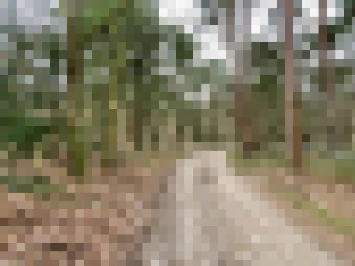 Tonnenberg 53 K 12 Ermelo thumbnail 25