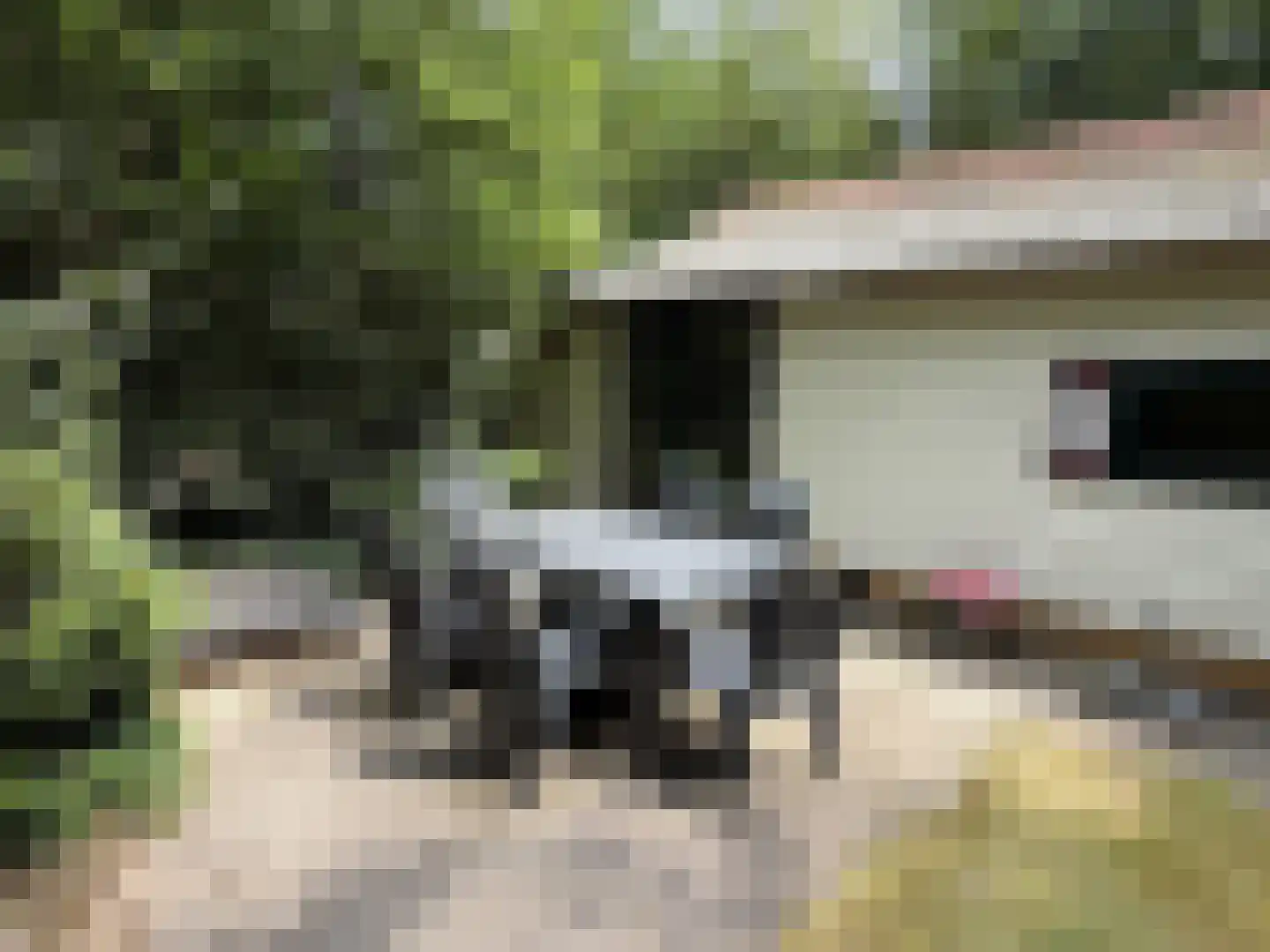 Tonnenberg 53 K 21 Ermelo thumbnail 14