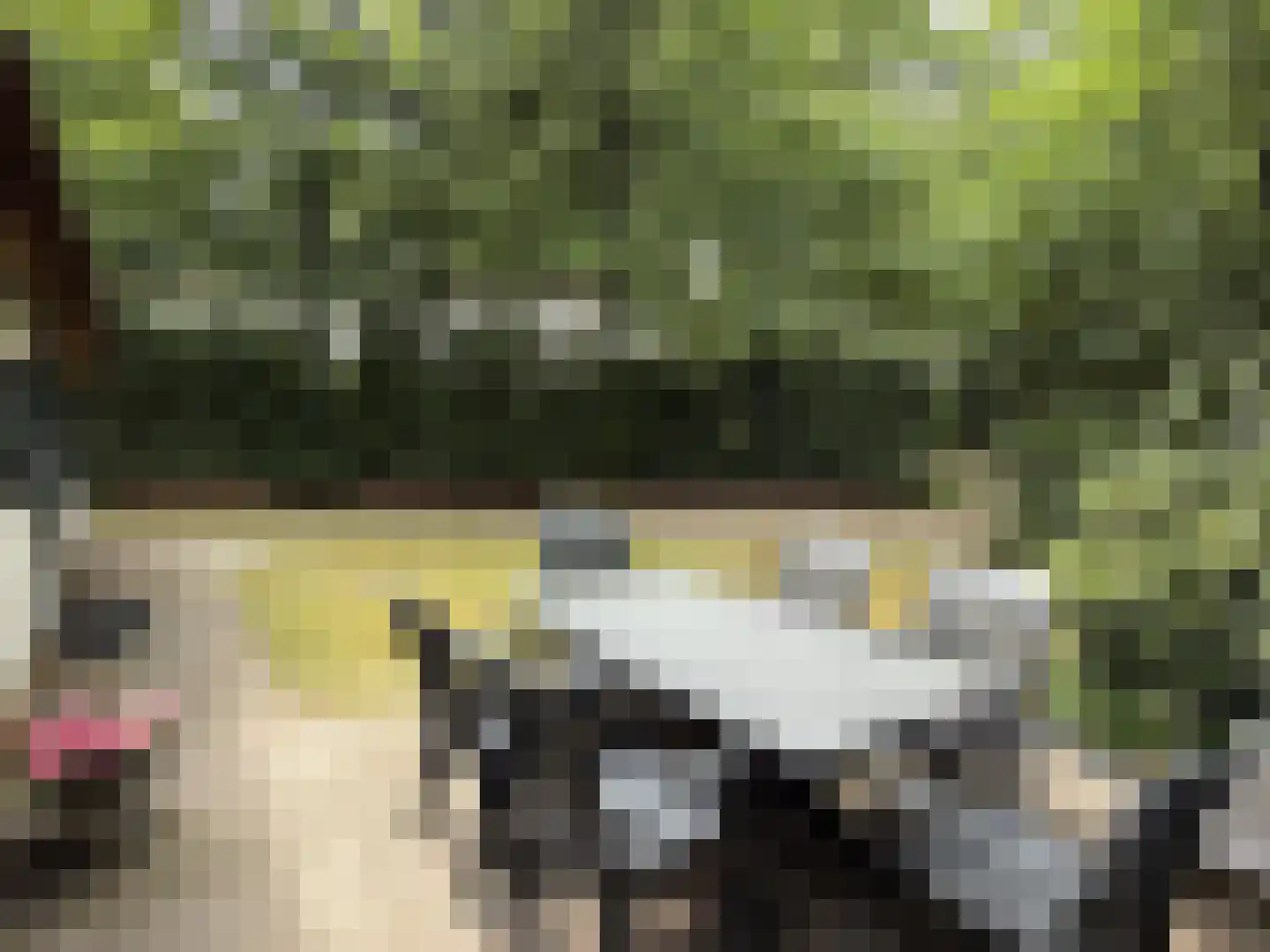 Tonnenberg 53 K 21 Ermelo thumbnail 15