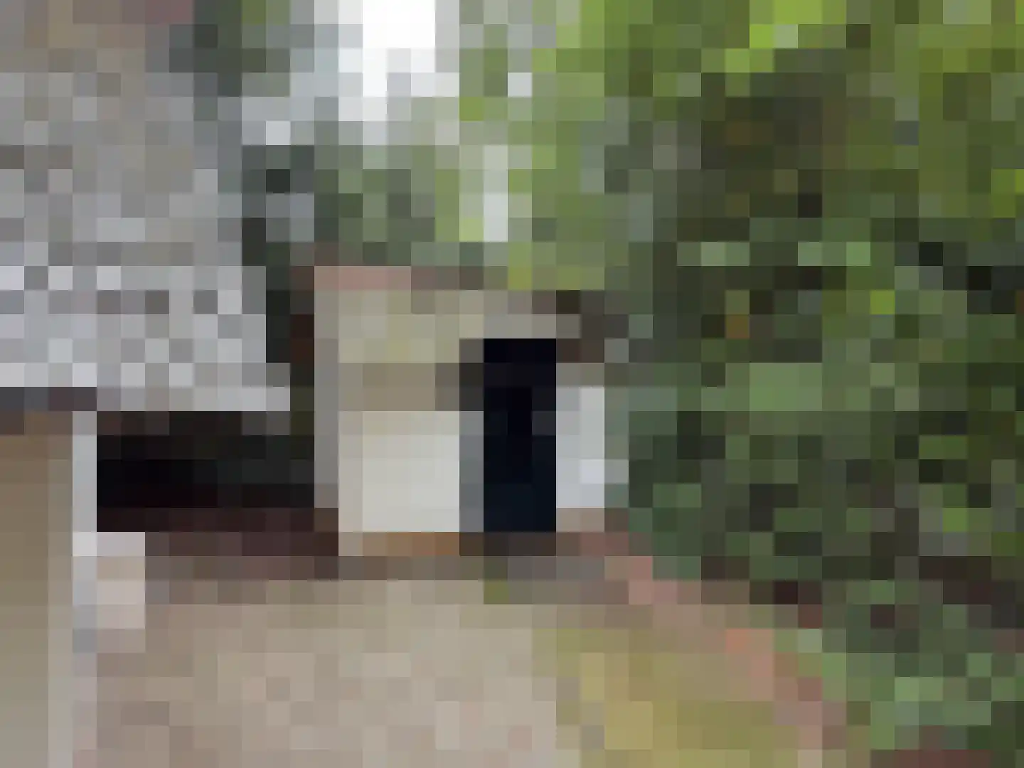 Tonnenberg 53 K 21 Ermelo thumbnail 16