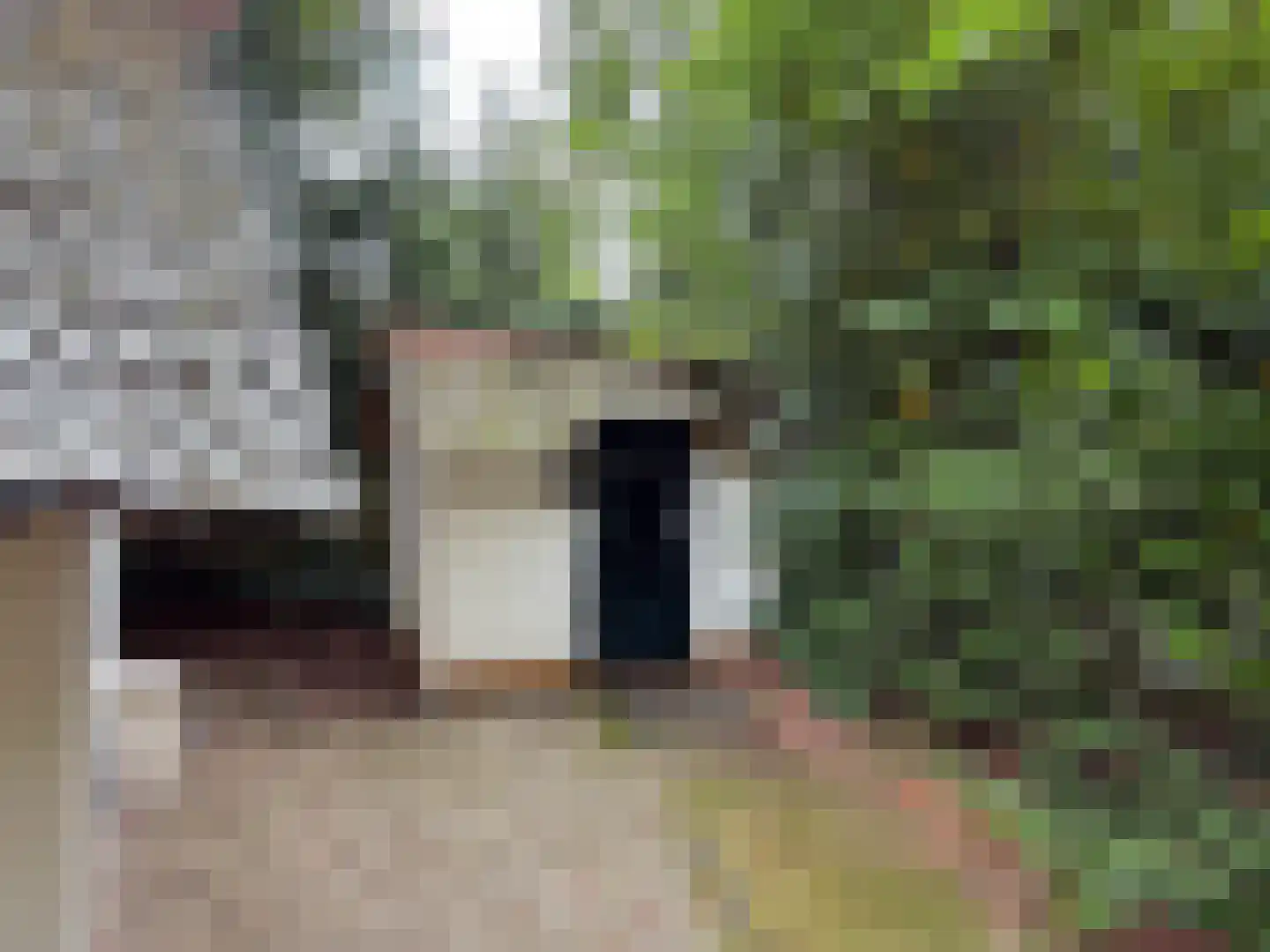 Tonnenberg 53 K 21 Ermelo thumbnail 16