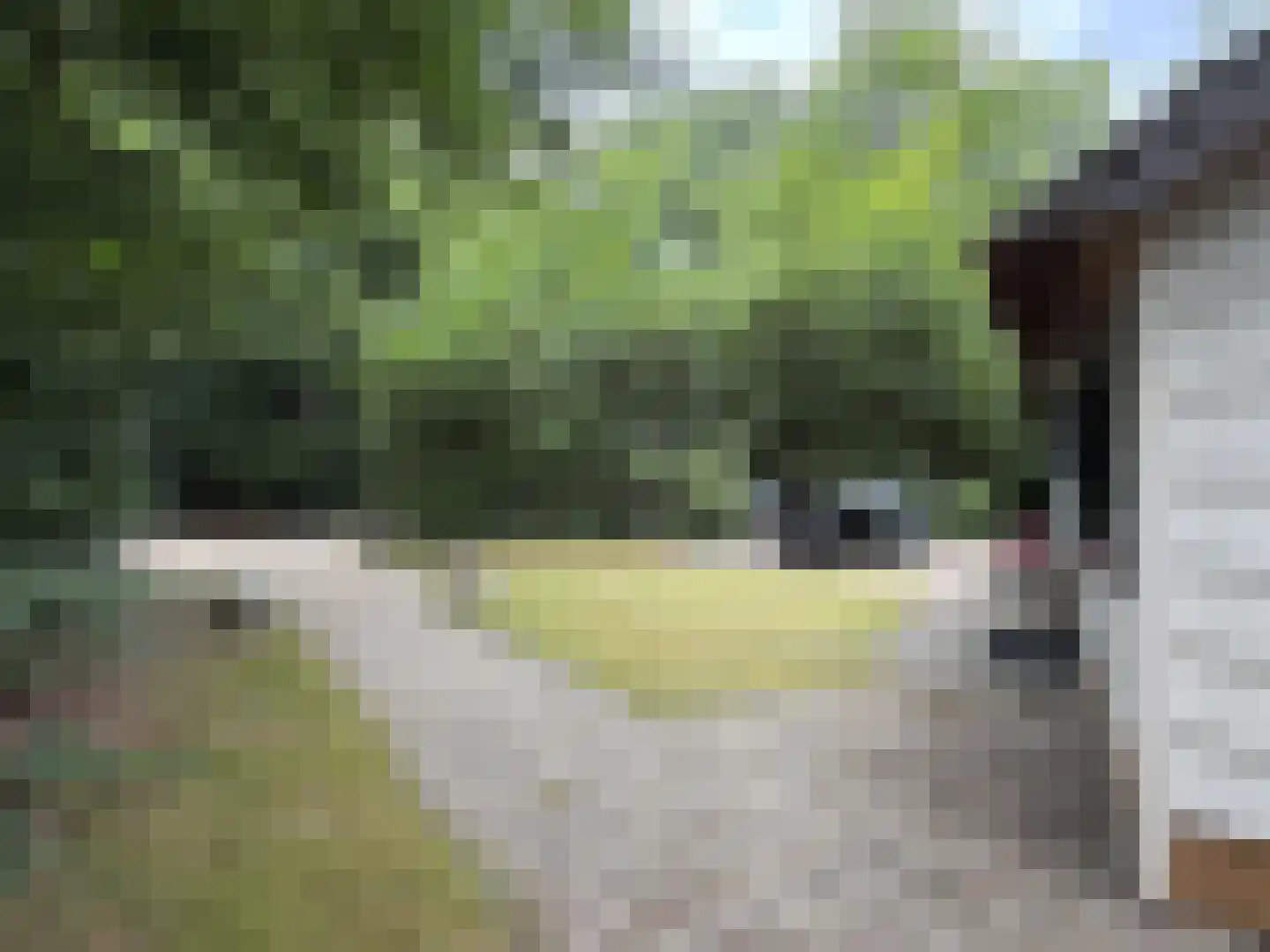Tonnenberg 53 K 21 Ermelo thumbnail 17
