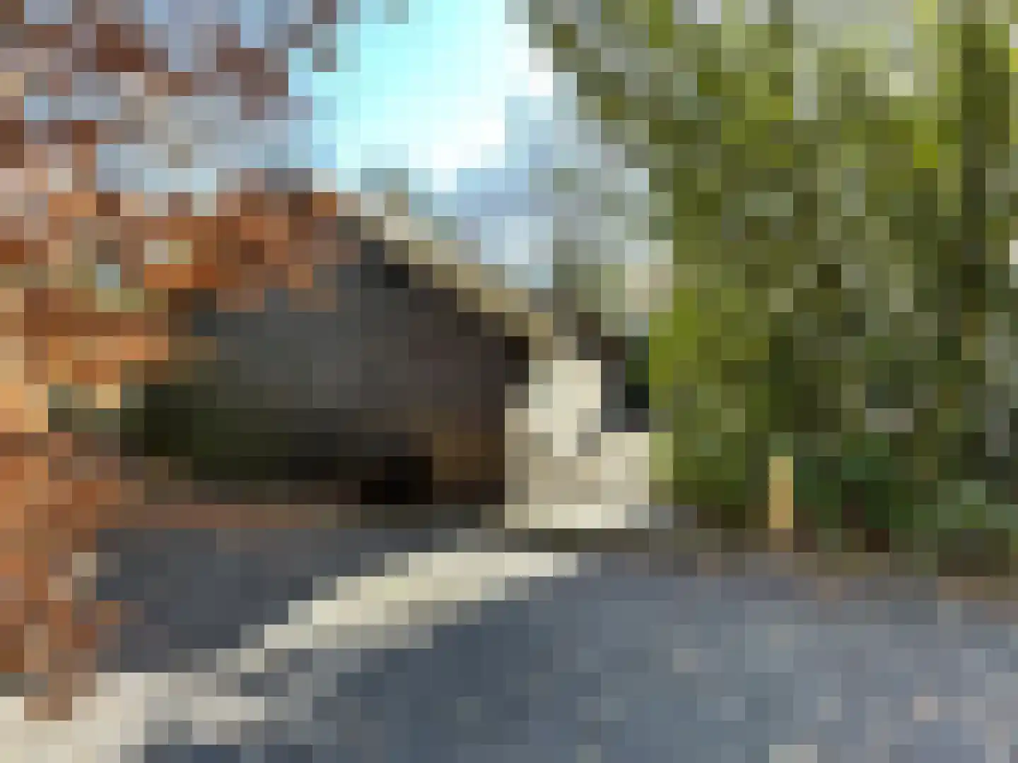 Tonnenberg 53 K 27 Ermelo thumbnail 21