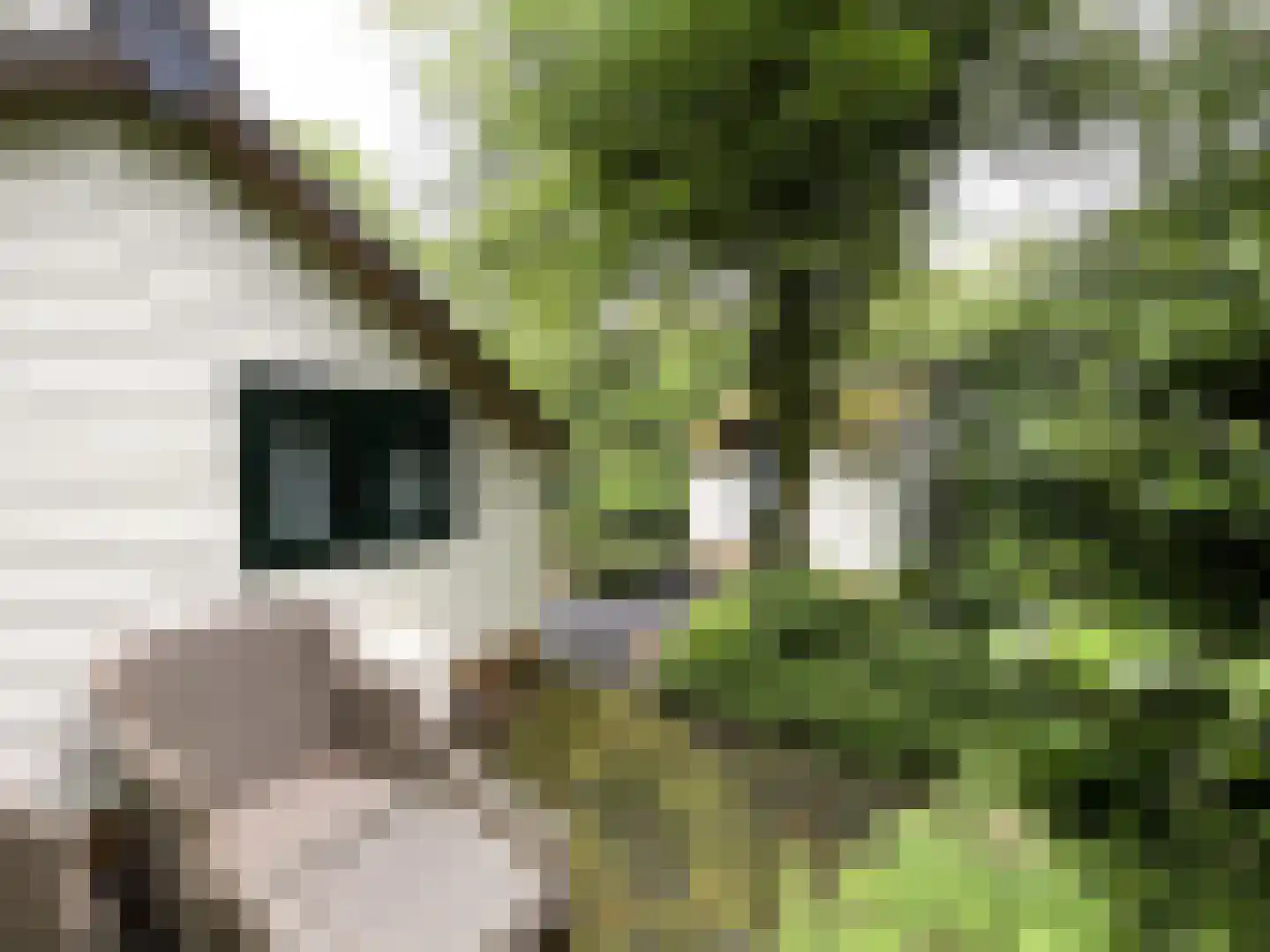 Tonnenberg 53 K 30 Ermelo thumbnail 20