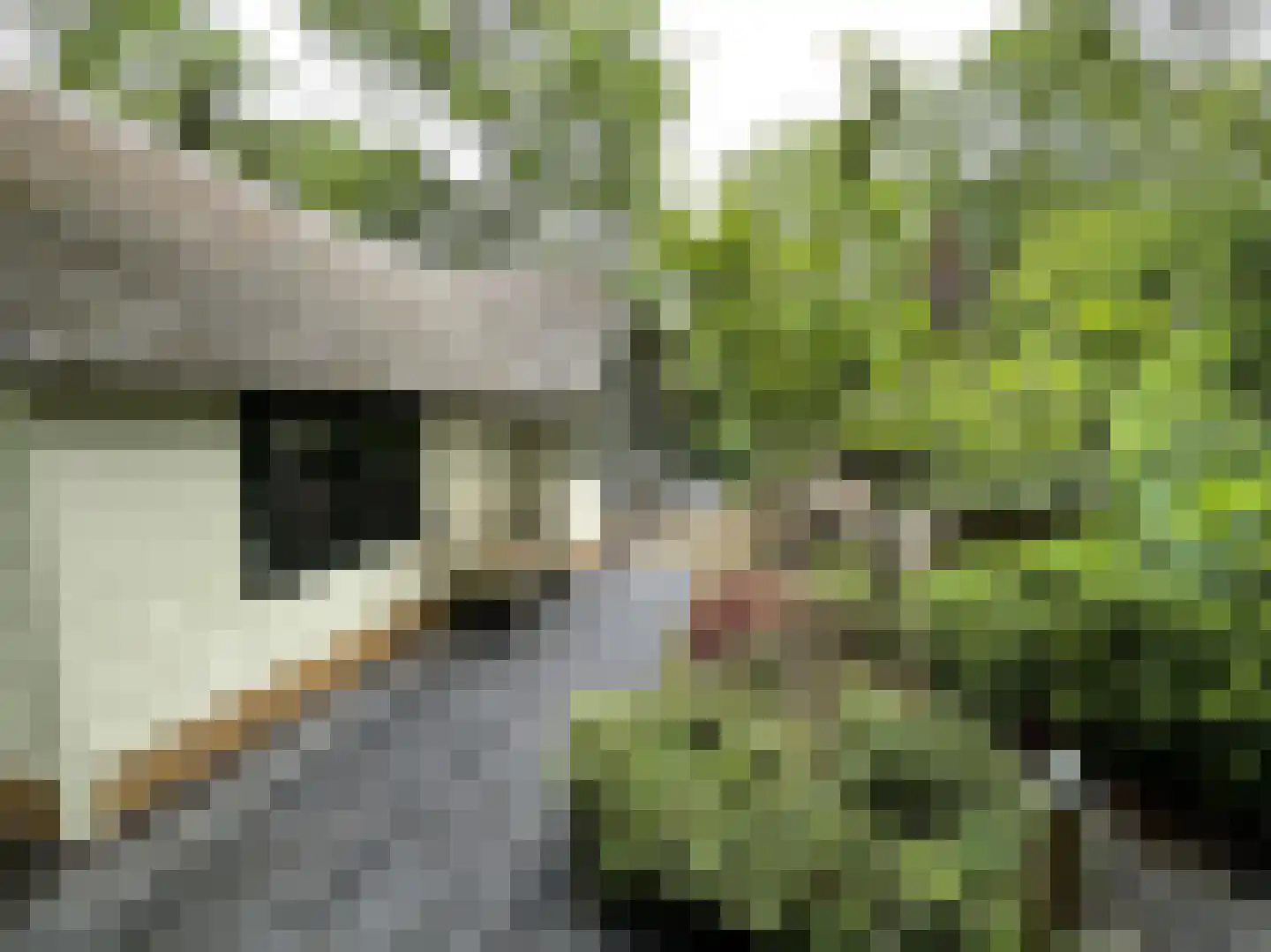 Tonnenberg 53 K 30 Ermelo thumbnail 21
