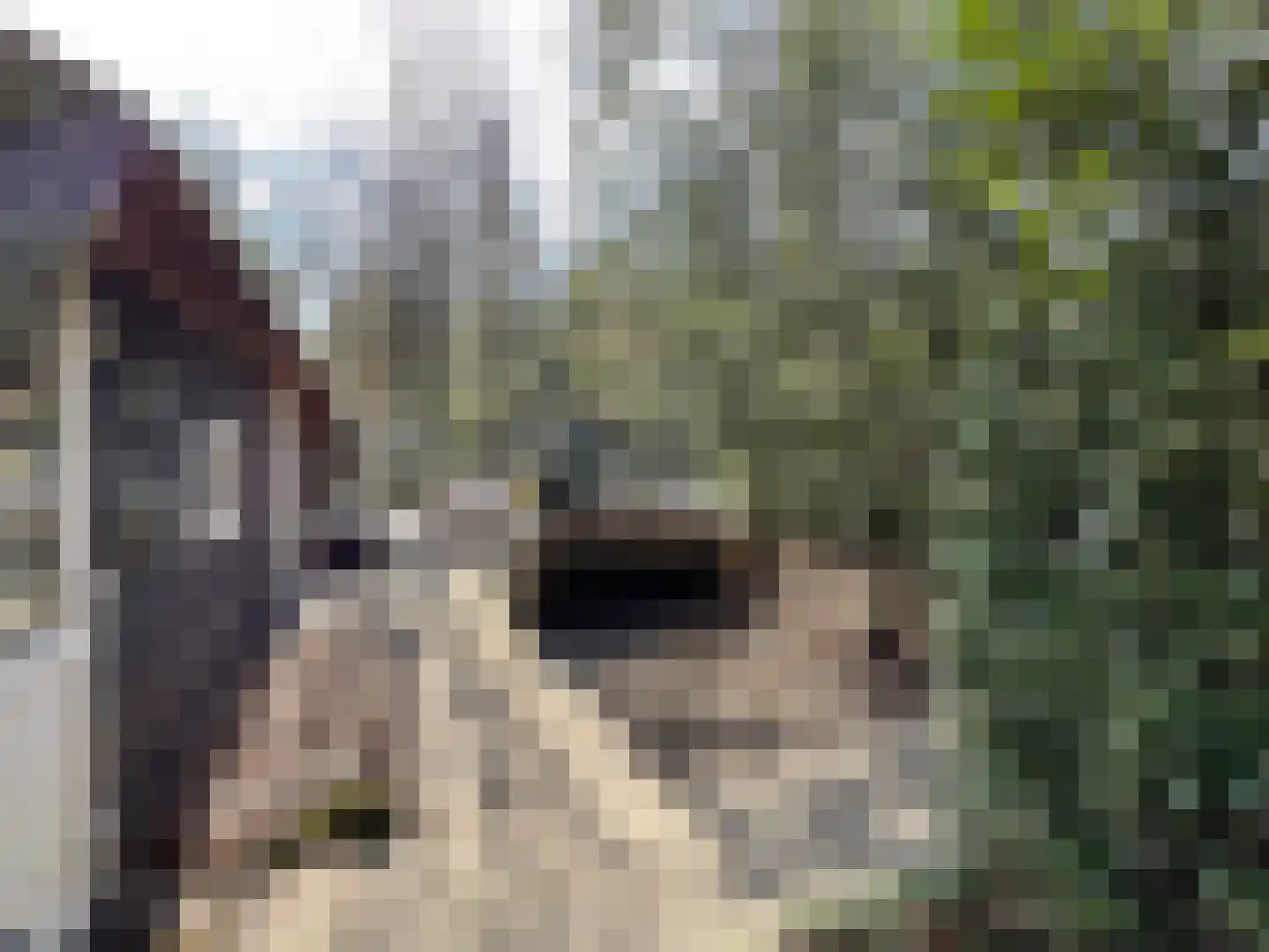 Tonnenberg 53 K 43 Ermelo thumbnail 16