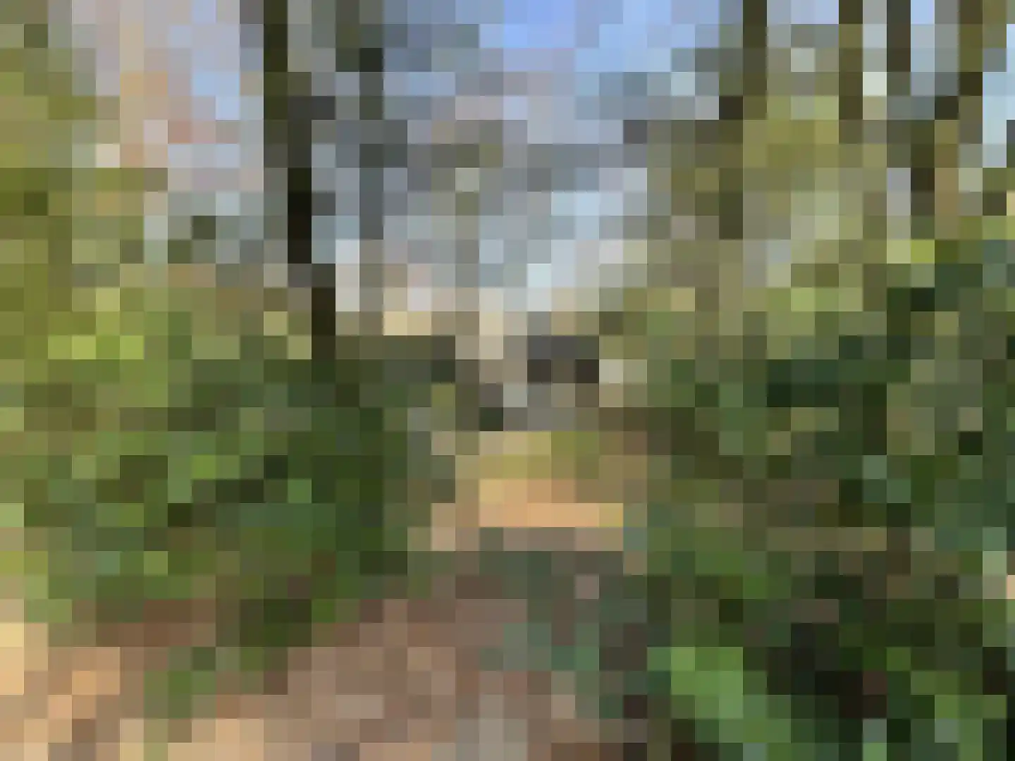 Tonnenberg 53 K 43 Ermelo thumbnail 19