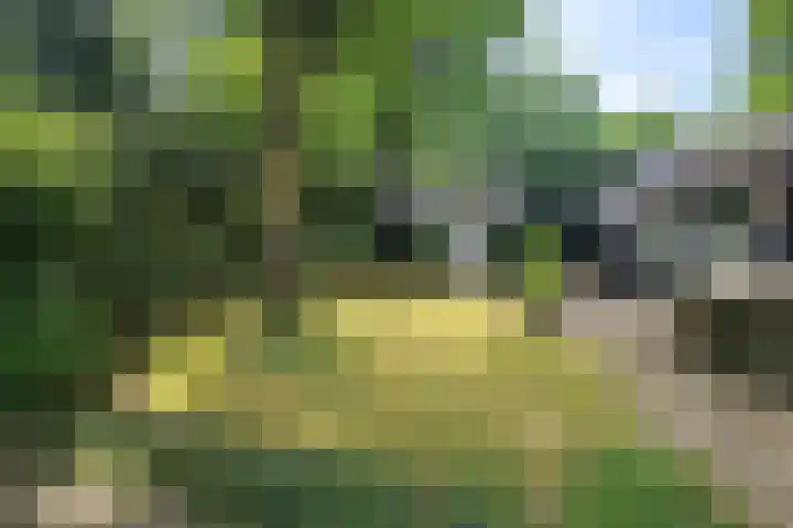 Tonnenberg 53 K 47 Ermelo thumbnail 15