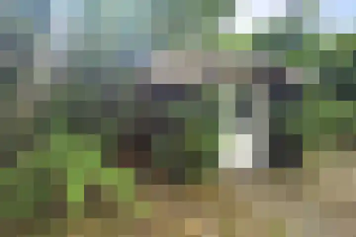 Tonnenberg 53 K 47 Ermelo thumbnail 16